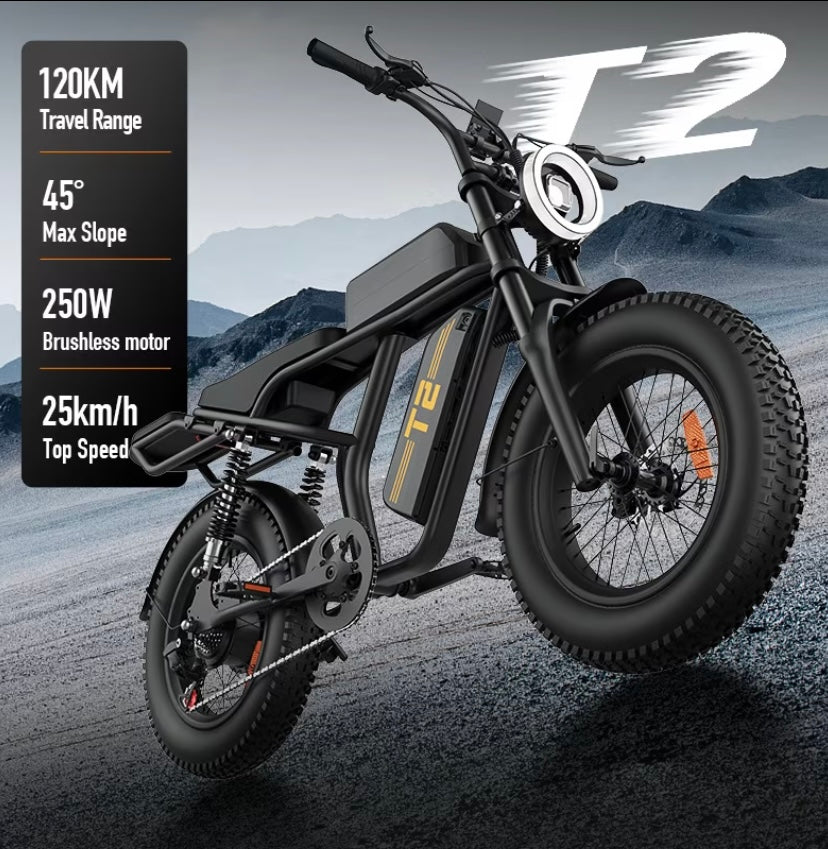 Electric Bike — Power, Freedom & Long-Range Performance