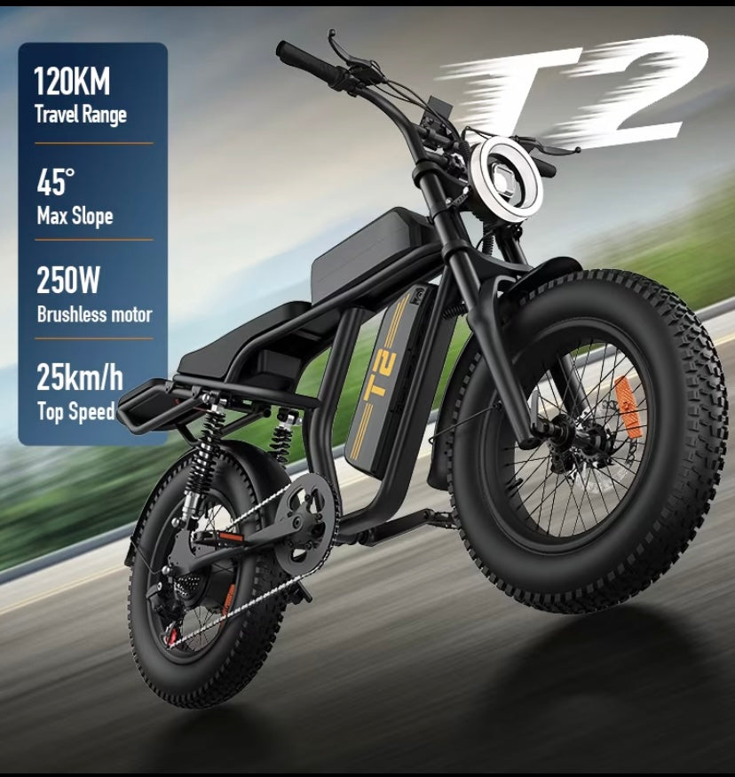 Electric Bike — Power, Freedom & Long-Range Performance